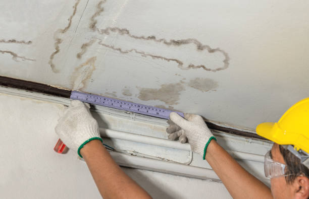 Reliable Water Damage contractor in Forney, TX by Water Damage Irwin